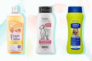 Best Dog Shampoos