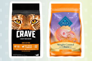 The 9 Best Premium Dry Cat Foods of 2022, According to a Veterinarian