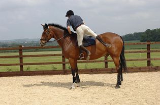 Man dismounting from horse.