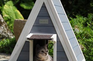 Petsfit Outdoor Cat House