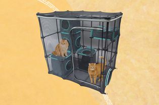 Collage of a catio we recommend on a yellow background