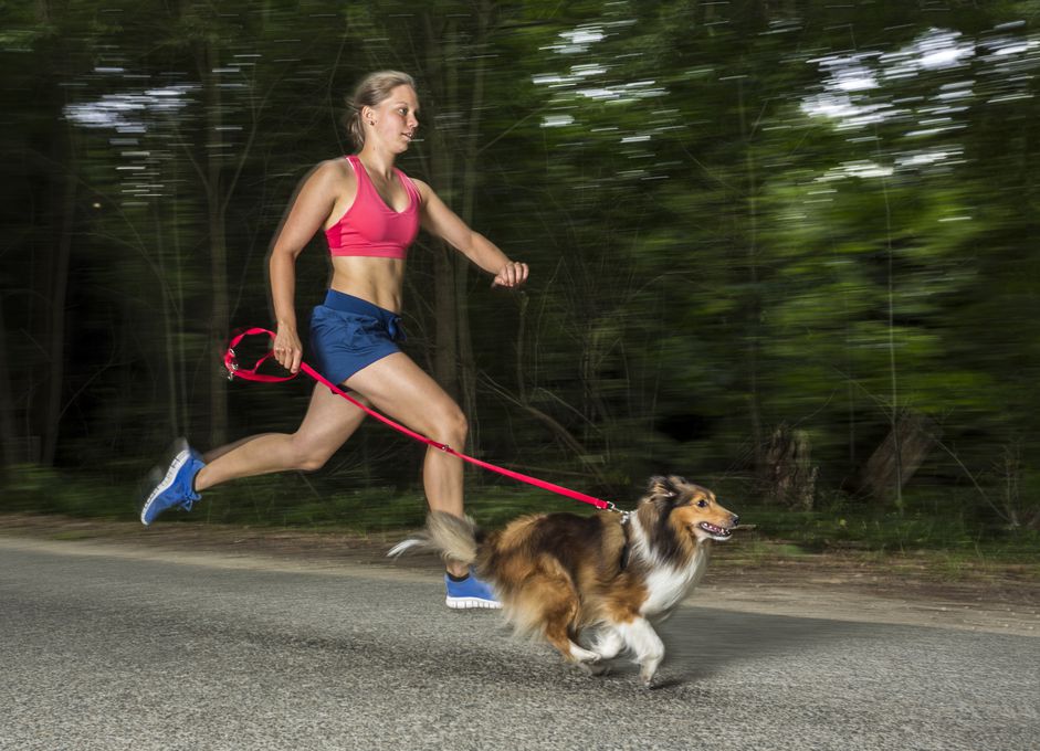 带着狗跑的女人，一个sheltie