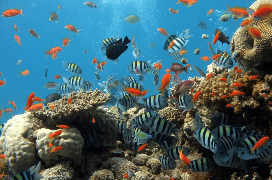 水水族馆