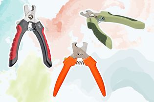 Assortment of dog nail clippers displayed on a colorful watercolor style background